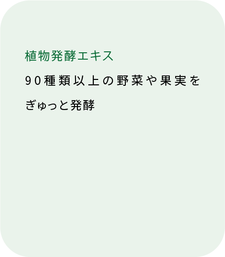 植物発酵エキス 8種類の野菜・果物（裏面）